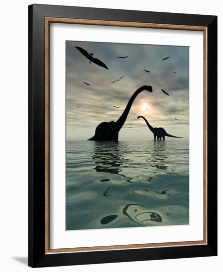 Diplodocus Dinosaurs Bathe in a Large Body of Water-Stocktrek Images-Framed Photographic Print