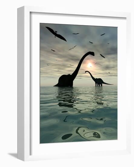 Diplodocus Dinosaurs Bathe in a Large Body of Water-Stocktrek Images-Framed Photographic Print