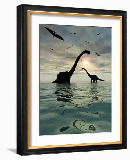 Diplodocus Dinosaurs Bathe in a Large Body of Water-Stocktrek Images-Framed Photographic Print