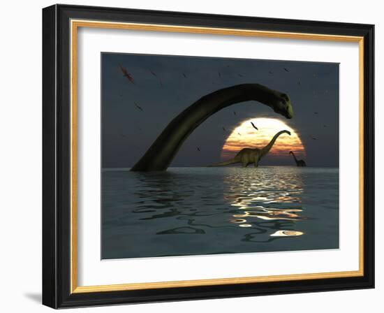 Diplodocus Dinosaurs Bathe in a Large Body of Water-Stocktrek Images-Framed Photographic Print