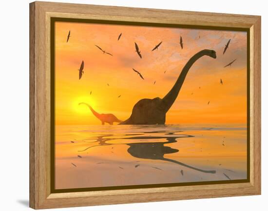 Diplodocus Dinosaurs Bathe in a Large Body of Water-Stocktrek Images-Framed Premier Image Canvas