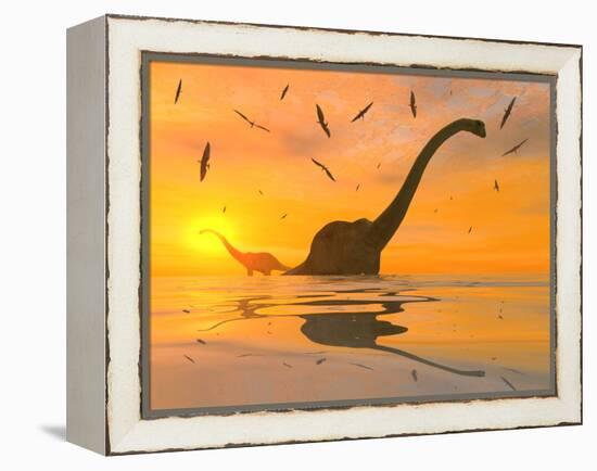 Diplodocus Dinosaurs Bathe in a Large Body of Water-Stocktrek Images-Framed Premier Image Canvas