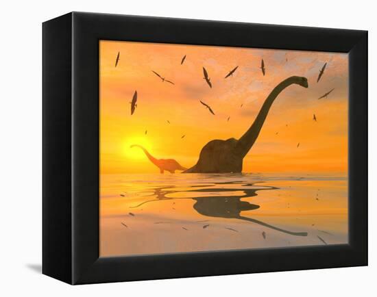 Diplodocus Dinosaurs Bathe in a Large Body of Water-Stocktrek Images-Framed Premier Image Canvas