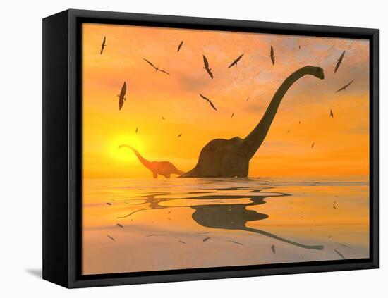 Diplodocus Dinosaurs Bathe in a Large Body of Water-Stocktrek Images-Framed Premier Image Canvas