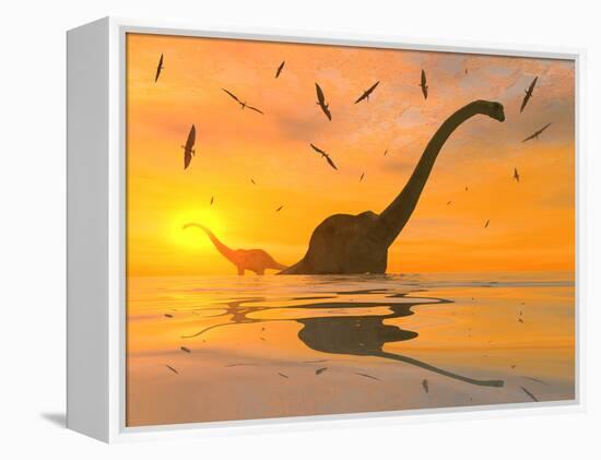 Diplodocus Dinosaurs Bathe in a Large Body of Water-Stocktrek Images-Framed Premier Image Canvas