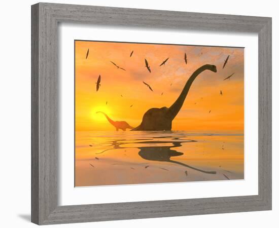 Diplodocus Dinosaurs Bathe in a Large Body of Water-Stocktrek Images-Framed Photographic Print