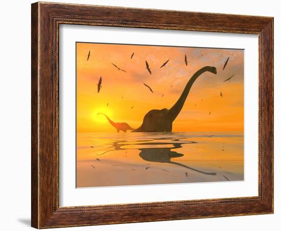 Diplodocus Dinosaurs Bathe in a Large Body of Water-Stocktrek Images-Framed Photographic Print