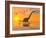 Diplodocus Dinosaurs Bathe in a Large Body of Water-Stocktrek Images-Framed Photographic Print