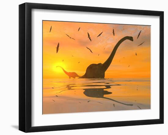 Diplodocus Dinosaurs Bathe in a Large Body of Water-Stocktrek Images-Framed Photographic Print