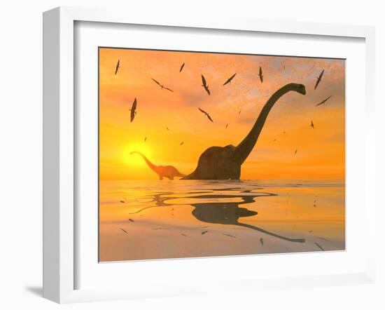 Diplodocus Dinosaurs Bathe in a Large Body of Water-Stocktrek Images-Framed Photographic Print