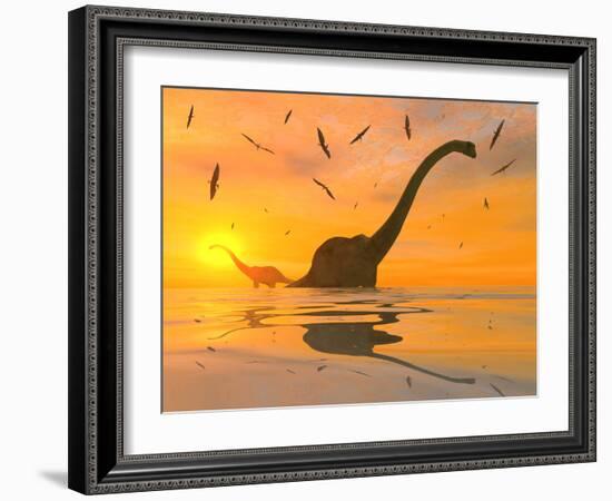 Diplodocus Dinosaurs Bathe in a Large Body of Water-Stocktrek Images-Framed Photographic Print