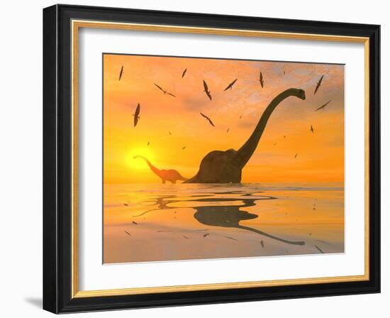 Diplodocus Dinosaurs Bathe in a Large Body of Water-Stocktrek Images-Framed Photographic Print