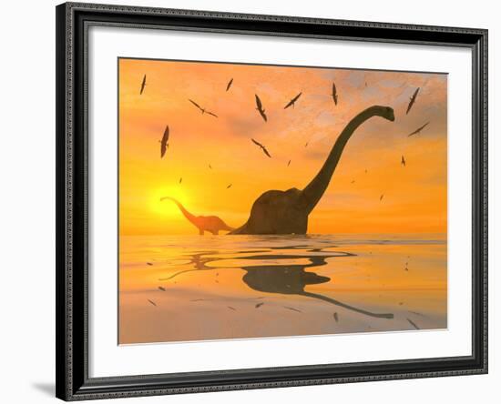 Diplodocus Dinosaurs Bathe in a Large Body of Water-Stocktrek Images-Framed Photographic Print