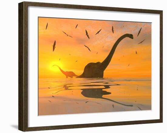 Diplodocus Dinosaurs Bathe in a Large Body of Water-Stocktrek Images-Framed Photographic Print