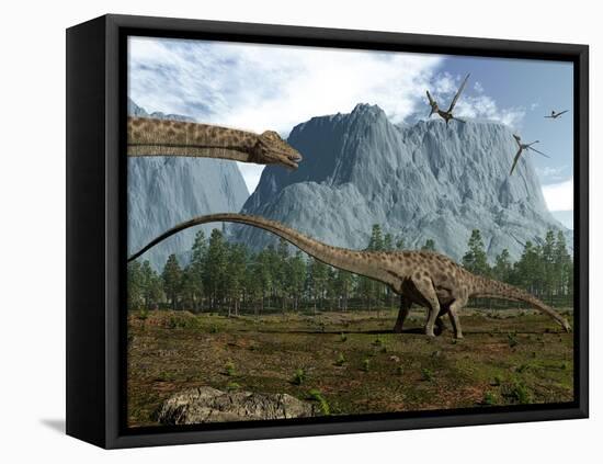 Diplodocus Dinosaurs Graze While Pterodactyls Fly Overhead-Stocktrek Images-Framed Premier Image Canvas