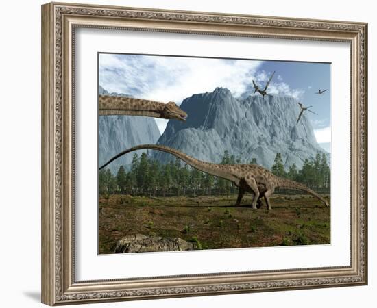 Diplodocus Dinosaurs Graze While Pterodactyls Fly Overhead-Stocktrek Images-Framed Photographic Print