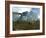 Diplodocus Dinosaurs Graze While Pterodactyls Fly Overhead-Stocktrek Images-Framed Photographic Print