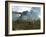 Diplodocus Dinosaurs Graze While Pterodactyls Fly Overhead-Stocktrek Images-Framed Photographic Print