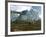 Diplodocus Dinosaurs Graze While Pterodactyls Fly Overhead-Stocktrek Images-Framed Photographic Print