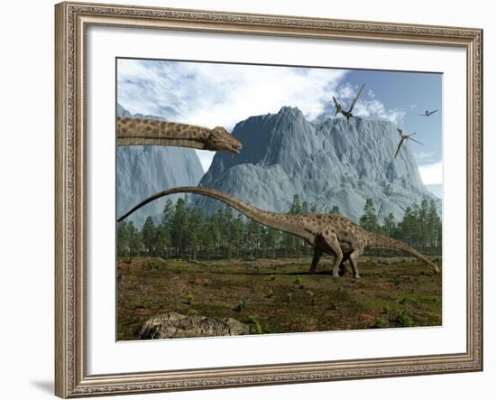 Diplodocus Dinosaurs Graze While Pterodactyls Fly Overhead-Stocktrek Images-Framed Photographic Print