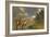 Diplodocus Dinosaurs in a Mating Ritual-null-Framed Premium Giclee Print