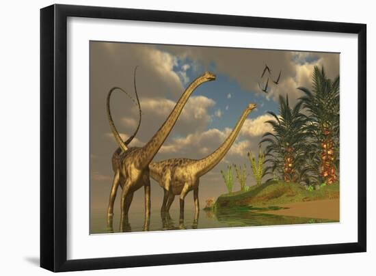 Diplodocus Dinosaurs in a Mating Ritual-null-Framed Premium Giclee Print