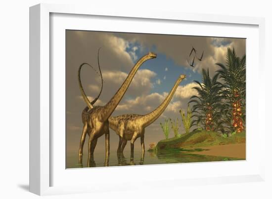 Diplodocus Dinosaurs in a Mating Ritual-null-Framed Premium Giclee Print