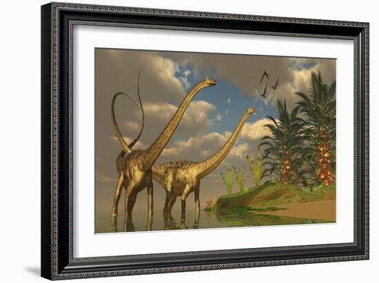 Diplodocus Dinosaurs in a Mating Ritual-null-Framed Premium Giclee Print