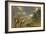 Diplodocus Dinosaurs in a Mating Ritual-null-Framed Premium Giclee Print