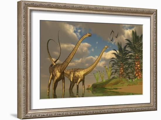 Diplodocus Dinosaurs in a Mating Ritual-null-Framed Art Print