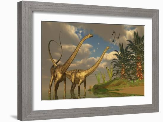 Diplodocus Dinosaurs in a Mating Ritual-null-Framed Art Print