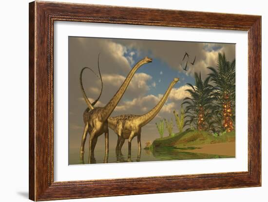 Diplodocus Dinosaurs in a Mating Ritual-null-Framed Art Print