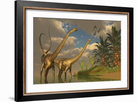 Diplodocus Dinosaurs in a Mating Ritual-null-Framed Art Print