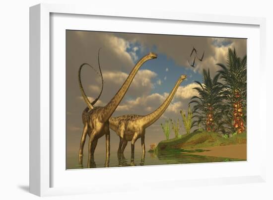 Diplodocus Dinosaurs in a Mating Ritual-null-Framed Art Print
