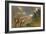 Diplodocus Dinosaurs in a Mating Ritual-null-Framed Art Print