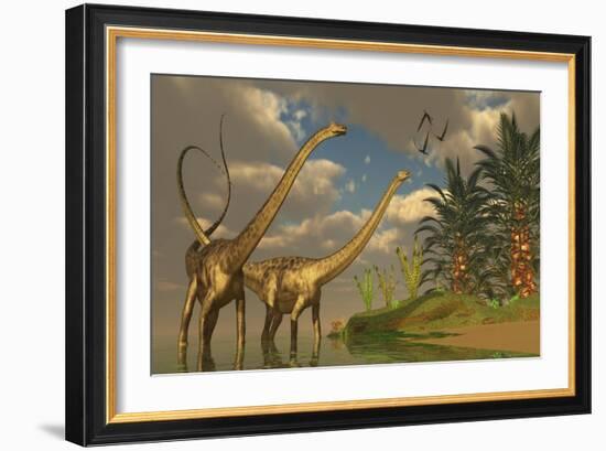 Diplodocus Dinosaurs in a Mating Ritual-null-Framed Art Print