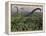 Diplodocus Dinosaurs of the Sauropod Family-Stocktrek Images-Framed Premier Image Canvas