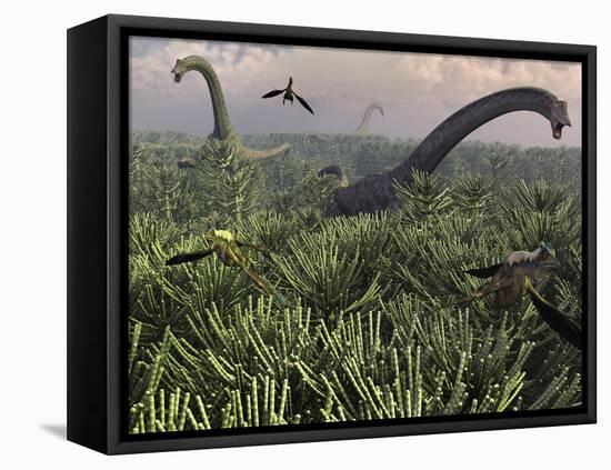 Diplodocus Dinosaurs of the Sauropod Family-Stocktrek Images-Framed Premier Image Canvas