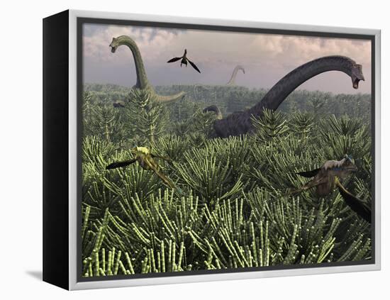 Diplodocus Dinosaurs of the Sauropod Family-Stocktrek Images-Framed Premier Image Canvas