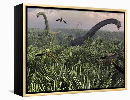 Diplodocus Dinosaurs of the Sauropod Family-Stocktrek Images-Framed Premier Image Canvas