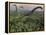 Diplodocus Dinosaurs of the Sauropod Family-Stocktrek Images-Framed Premier Image Canvas