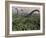 Diplodocus Dinosaurs of the Sauropod Family-Stocktrek Images-Framed Photographic Print