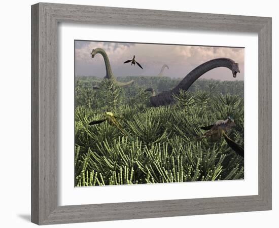 Diplodocus Dinosaurs of the Sauropod Family-Stocktrek Images-Framed Photographic Print