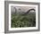 Diplodocus Dinosaurs of the Sauropod Family-Stocktrek Images-Framed Photographic Print