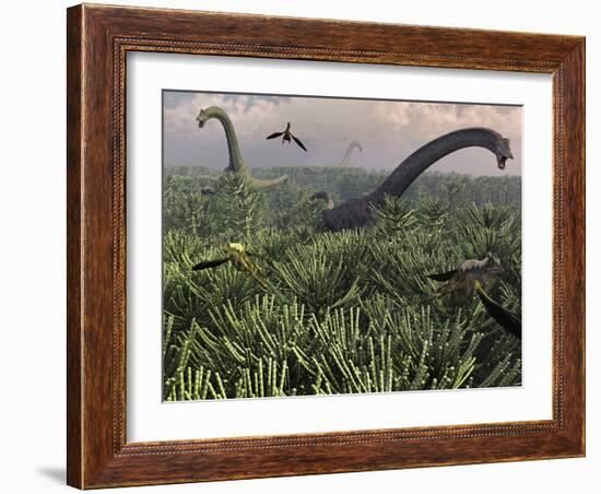 Diplodocus Dinosaurs of the Sauropod Family-Stocktrek Images-Framed Photographic Print