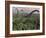 Diplodocus Dinosaurs of the Sauropod Family-Stocktrek Images-Framed Photographic Print