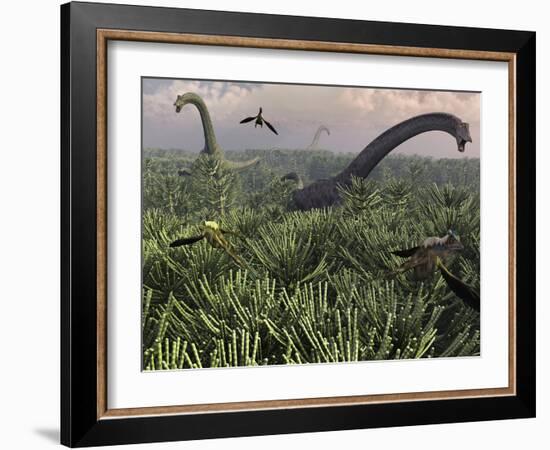 Diplodocus Dinosaurs of the Sauropod Family-Stocktrek Images-Framed Photographic Print