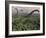 Diplodocus Dinosaurs of the Sauropod Family-Stocktrek Images-Framed Photographic Print