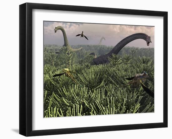 Diplodocus Dinosaurs of the Sauropod Family-Stocktrek Images-Framed Photographic Print