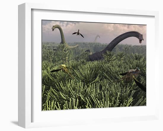 Diplodocus Dinosaurs of the Sauropod Family-Stocktrek Images-Framed Photographic Print